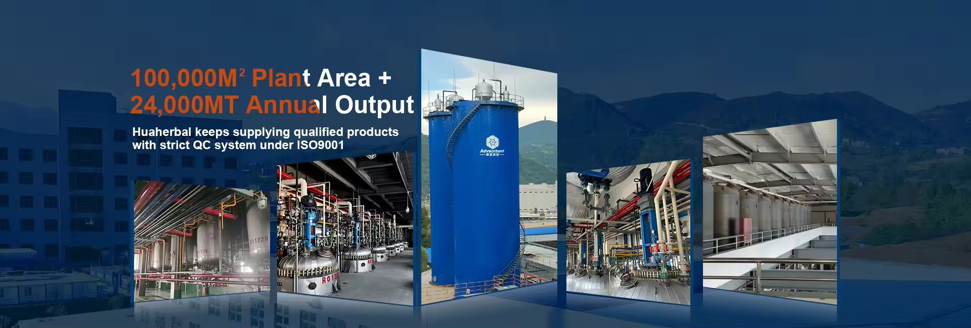 陰イオン交換樹脂