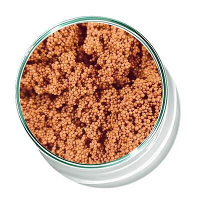 生物化学 尾水処理 吸収のための赤茶色脱色樹脂