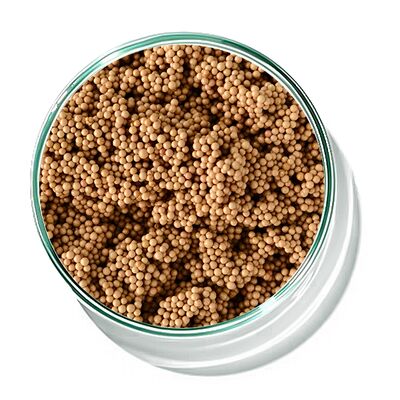 プラスチック製造におけるVOC処理および有機精製用工業用イオン交換樹脂