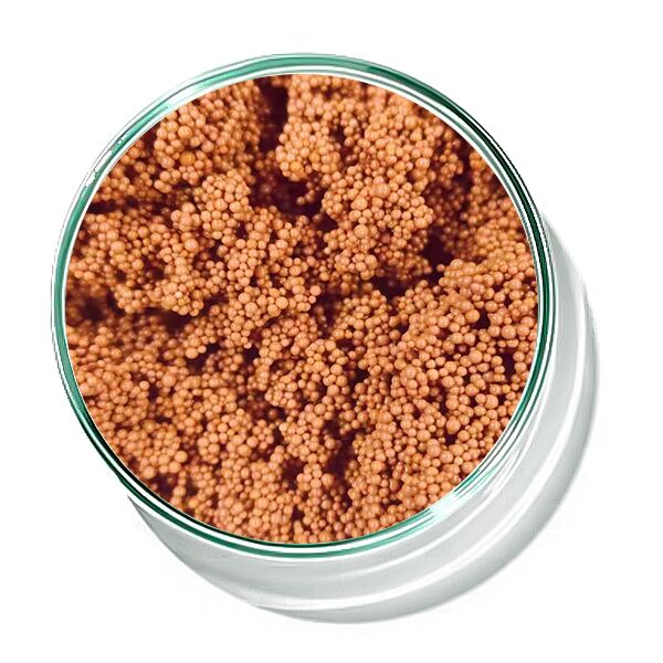 生物化学 尾水処理 吸収のための赤茶色脱色樹脂